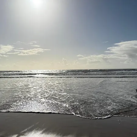 Waterfront - Des Mouettes *