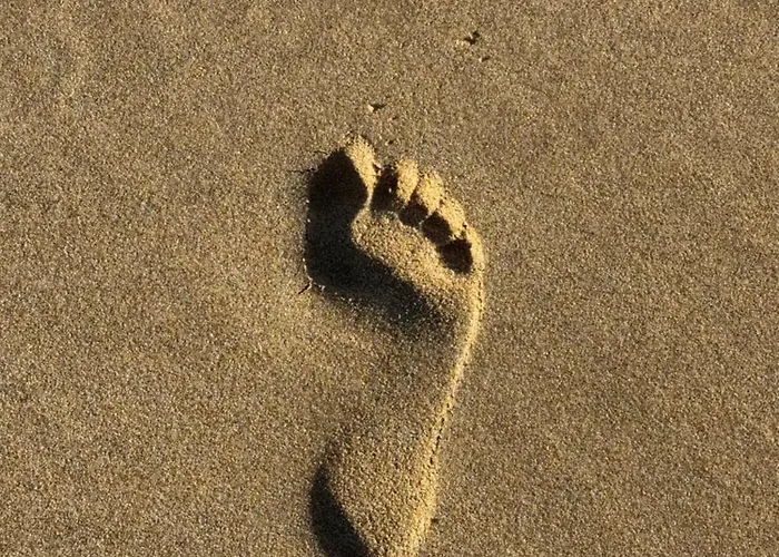 Waterfront - Des Mouettes Сент-Илер-де-Рье