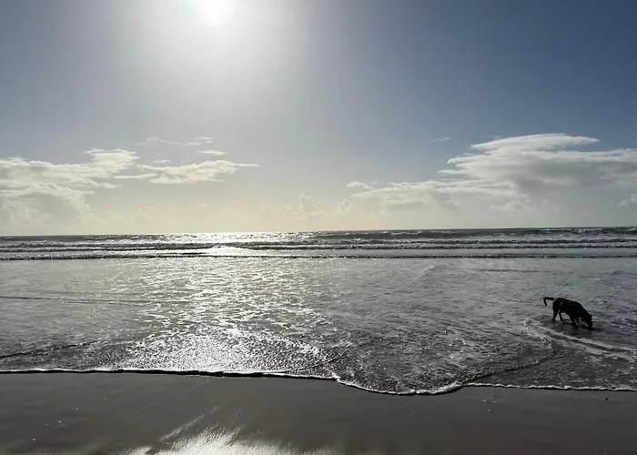 Waterfront - Des Mouettes *